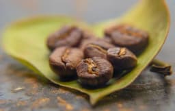 Coffea arabica, arabiskt kaffe