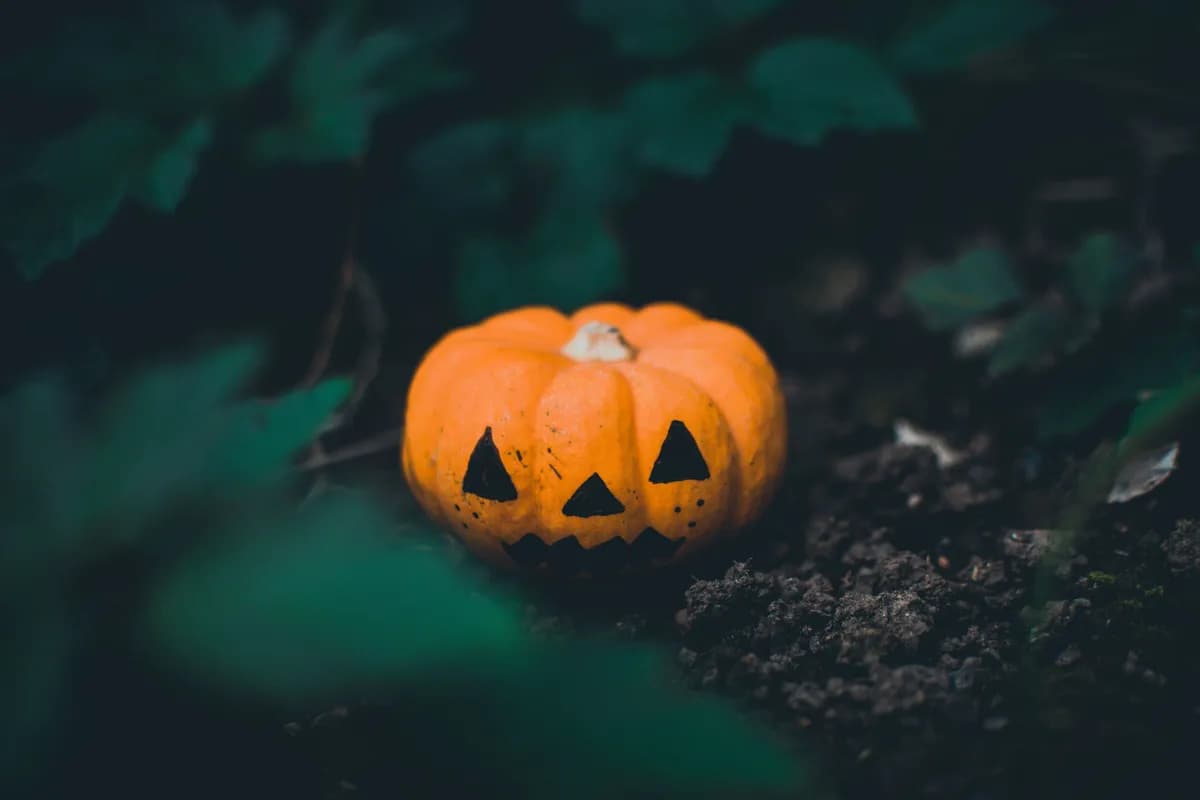 Månadens krukväxt – Anmälan Oktober