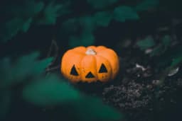 Månadens krukväxt – Anmälan Oktober