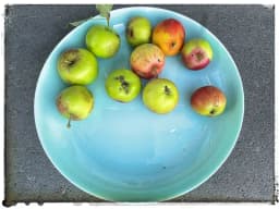 Fallfrukt – släng den inte, ta vara på den! 🍎