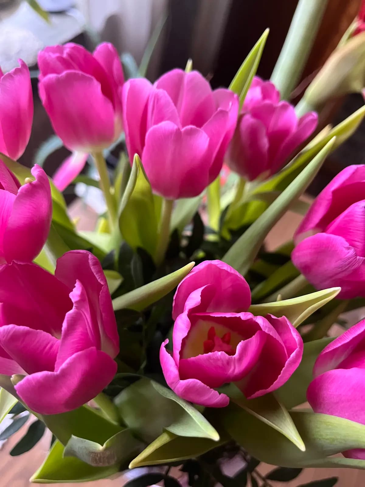 Caelis blomdagbok #3