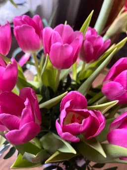 Caelis blomdagbok #3